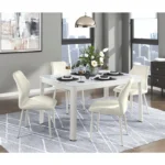 Contemporary Dining Room Chair