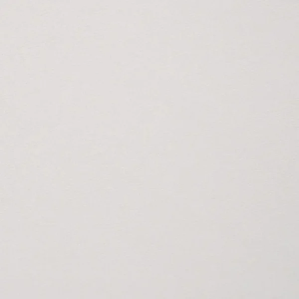 Alisha Side Chair Set of 2 BY Furniture of America