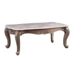 Jayceon Coffee Table Marble Top & Champagne Finish By ACME