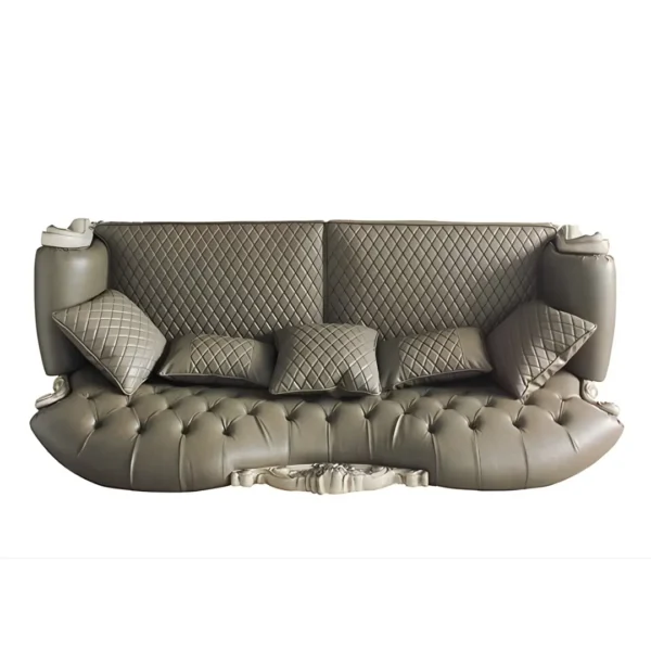 Dresden Leather Sofa With 5 Pillows By ACME