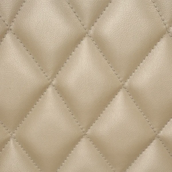 Sorina Gold Leather Arm Chair by ACME - Image 5