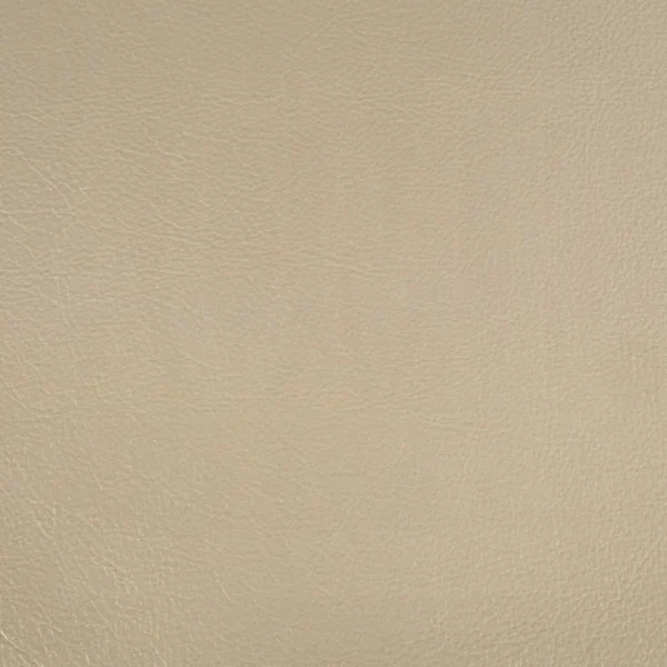 Sorina Gold Leather Arm Chair by ACME - Image 6