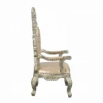 Sorina Gold Leather Arm Chair by ACME - Image 4