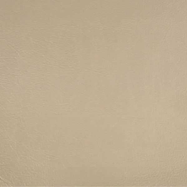 Danae Dining Arm Chair Set of 2 by ACME - Image 5