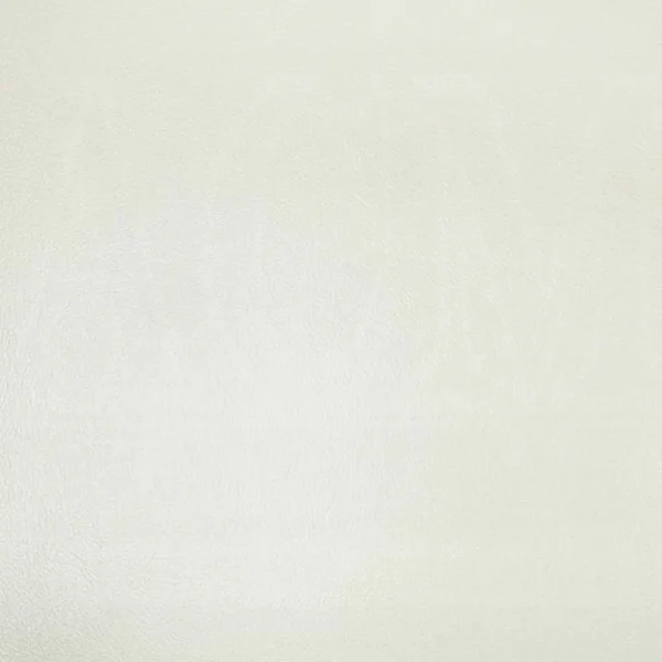 Adara Pearl White Leather Living Chair With 2 Pillows by ACME - Image 6