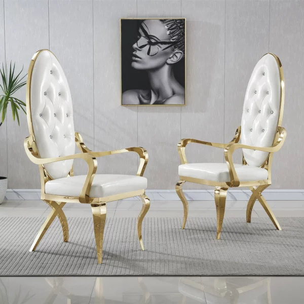DC87 Leather and Stainless Steel Dining Chairs by Artisan Furniture 13
