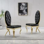 DC83 Stainless steel Dining Room Chairs by Artisan Furniture 18