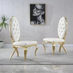 DC83 Stainless steel Dining Room Chairs by Artisan Furniture 22