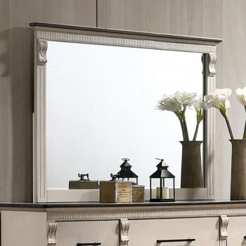 Agathon Mirror CM7182M By Furniture of America