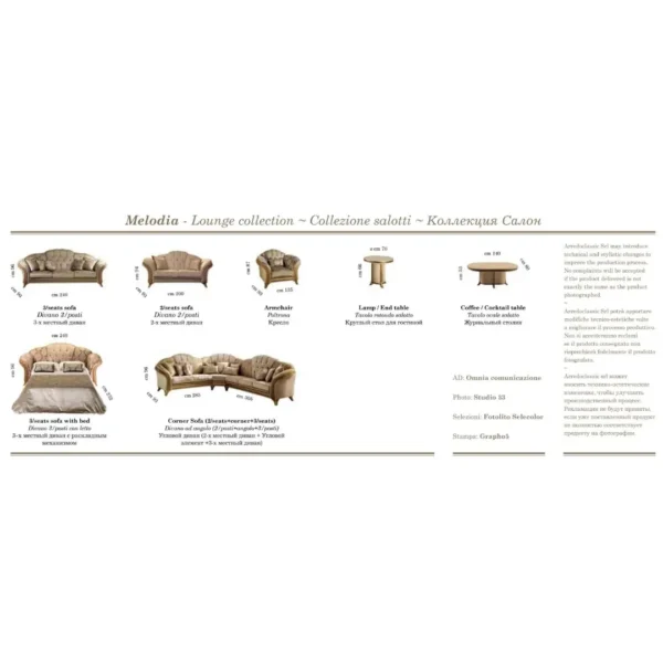 Classic Elegant Living Room