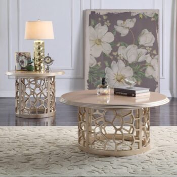 Champagne 3PCs Coffee Table HD-8913CHAM By Homey Design