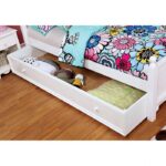 Dani Trundle CM7159WH-TR  BY Furniture of America 17