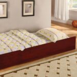 Omnus Trundle CM-TR452-CH  BY Furniture of America 14