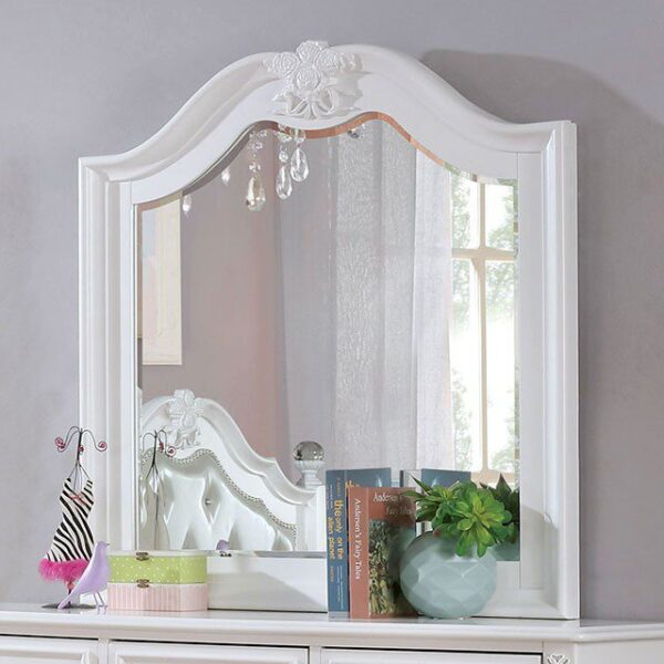 Belva Mirror CM7174M BY Furniture of America 6