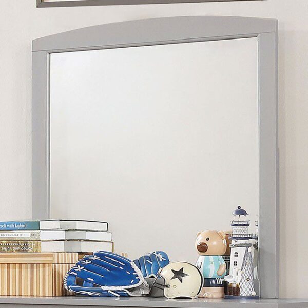 Caren Mirror CM7905GY-M BY Furniture of America 5