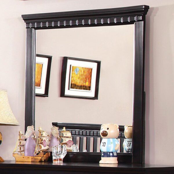 Caspian Mirror CM7920BK-M BY Furniture of America 10