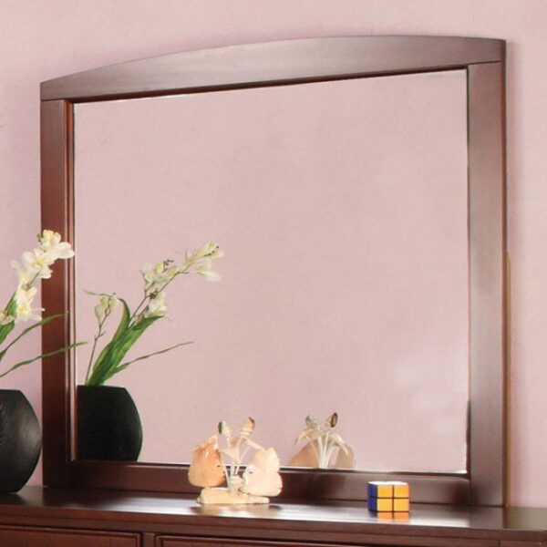 Omnus Mirror CM7905CH-M BY Furniture of America 10