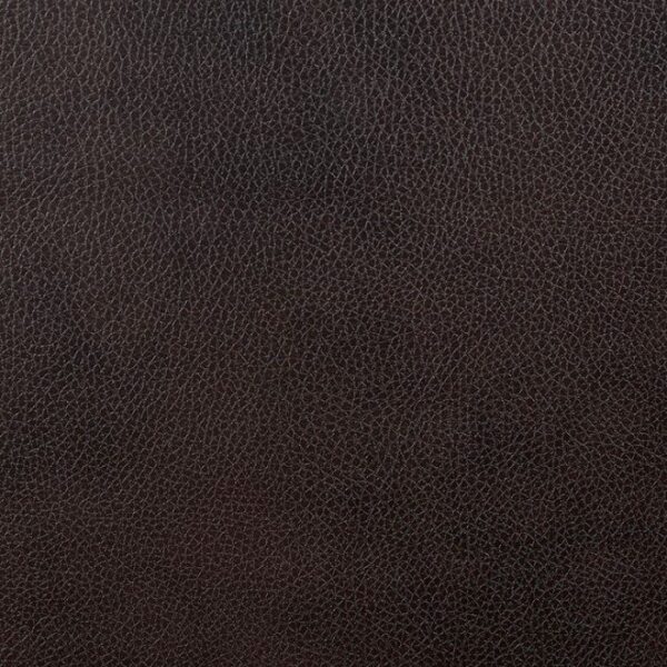 Dark Brown Pondera Recliner CM6568-CH BY Furniture of America 9
