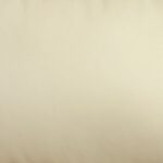 Parma Chair CM6324IV-CH BY Furniture of America 13