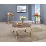 Contemporary Champagne Wicklow 3PCs Table Set CM4364-3PK By Furniture of America 11