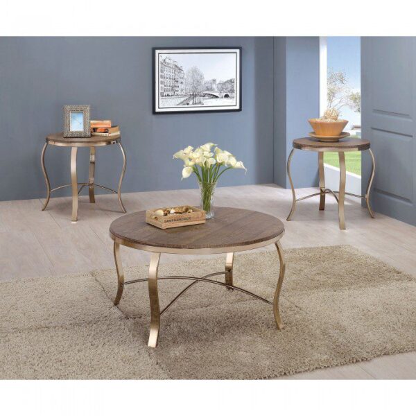 Contemporary Champagne Wicklow 3PCs Table Set CM4364-3PK By Furniture of America 8