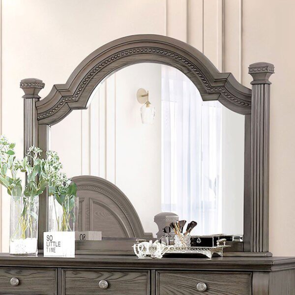 Pamphilos Mirror FOA7144GY-M By Furniture of America 4
