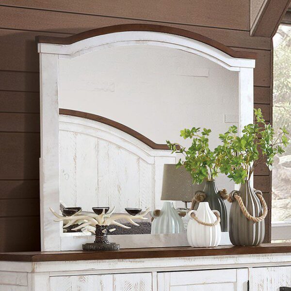 Alyson Mirror CM7962M By Furniture of America 4