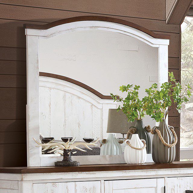 Alyson Mirror CM7962M By Furniture of America
