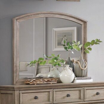 Wells Mirror CM7568M By Furniture of America