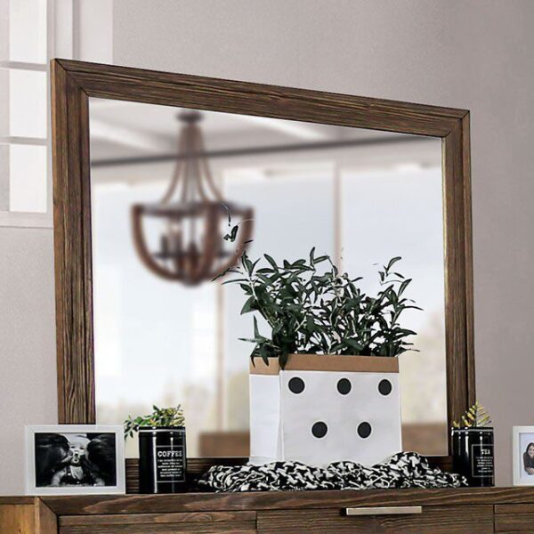 Tolna Mirror CM7532M By Furniture of America 5