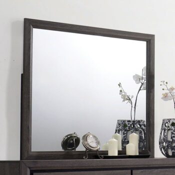 Conwy Mirror CM7549M By Furniture of America