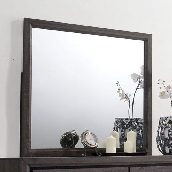 Conwy Mirror CM7549M By Furniture of America - Image 2
