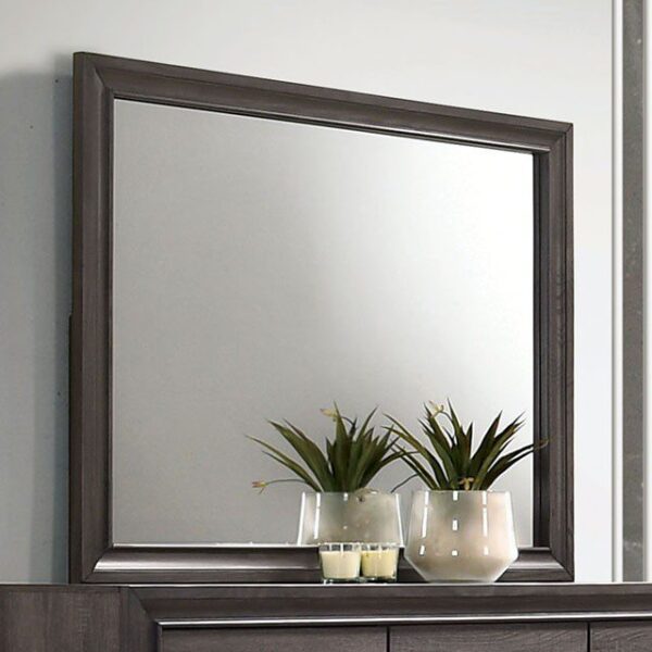 Chrissy Mirror CM7552GY-M By Furniture of America 5