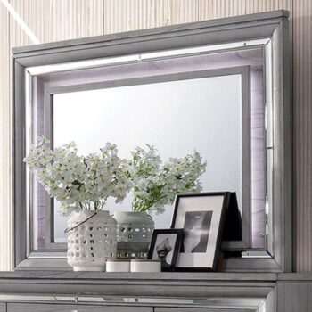 Alanis Mirror CM7579M By Furniture of America