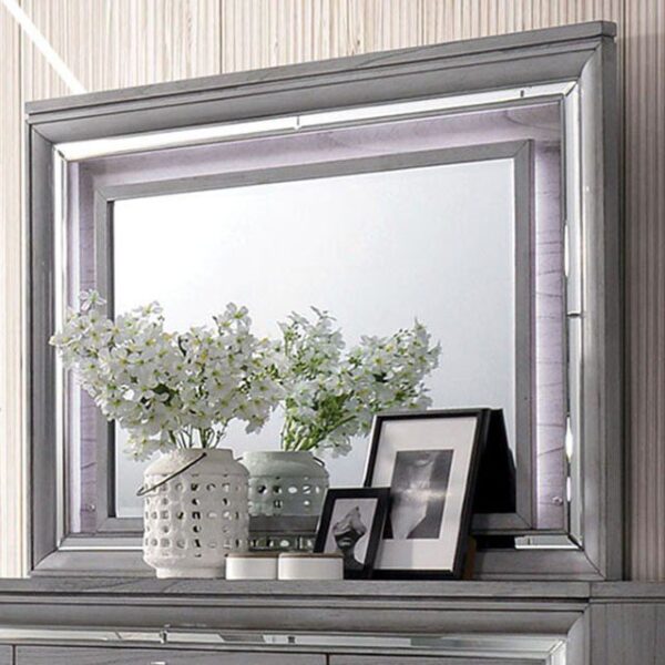 Alanis Mirror CM7579M By Furniture of America 8
