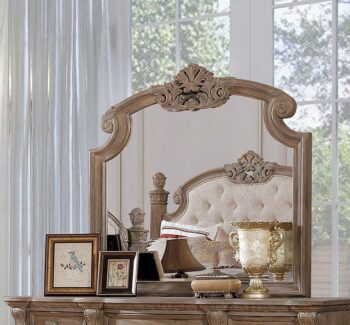 Montgomery Mirror CM7800M By Furniture of America