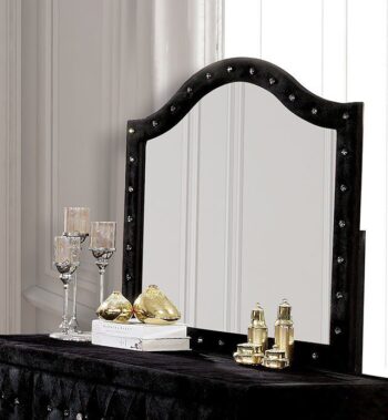 Alzire Mirror CM7150BK-M By Furniture of America