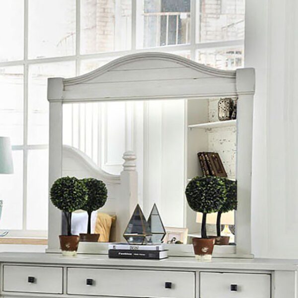 Daria Mirror CM7562M By Furniture of America 8
