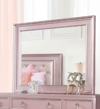 Avior Mirror CM7170RG-M By Furniture of America