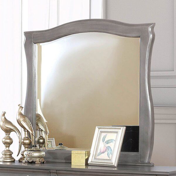Brunswick Mirror CM7503GY-M By Furniture of America 8
