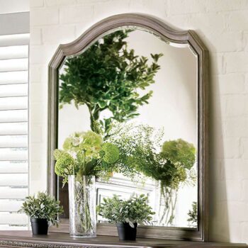 Persephone Mirror CM7661M By Furniture of America