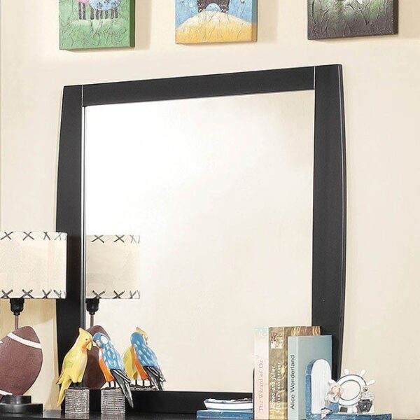Marlee Mirror CM7651BK-M By Furniture of America 6