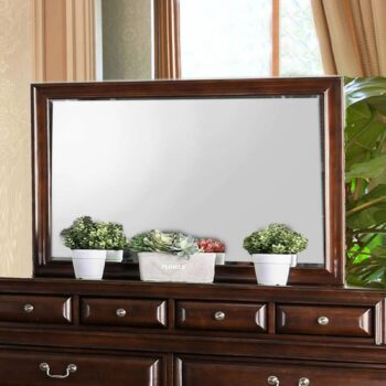 Brandt Mirror CM7302CH-M By Furniture of America