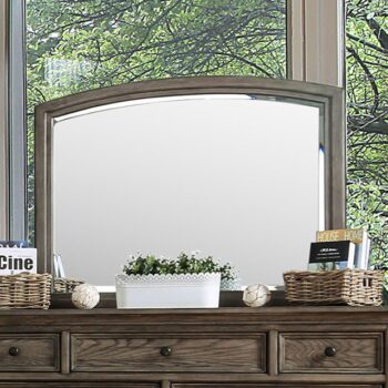 Armus Mirror CM7719M By Furniture of America