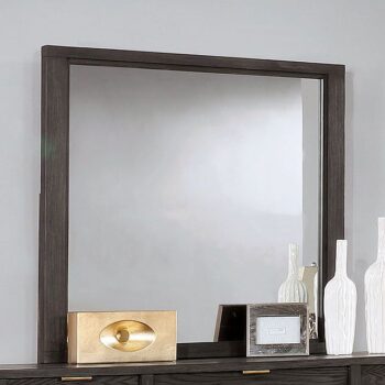 Bailey Mirror CM7510M By Furniture of America