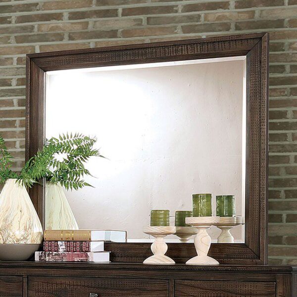 Agapetos Mirror CM7581M By Furniture of America 6