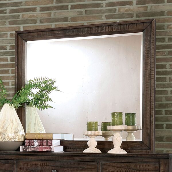 Agapetos Mirror CM7581M By Furniture of America - Image 3