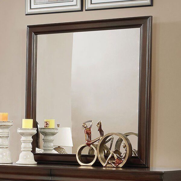 Eugenia Mirror CM7598CH-M By Furniture of America 5