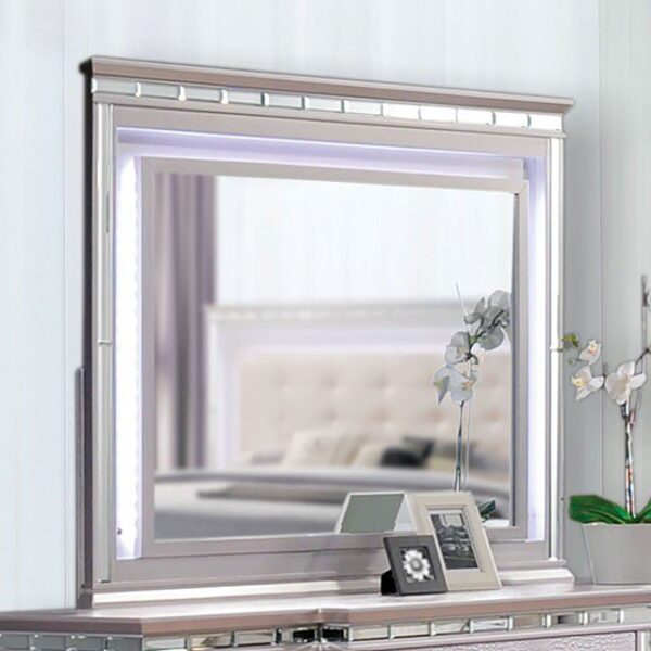 Claudette Mirror CM7972M By Furniture of America 6