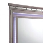 Claudette Mirror CM7972M By Furniture of America 10
